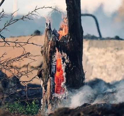 Kolejny pożar w Nowej Hucie – mieszkańcy obawiają się, że to nie były przypadki