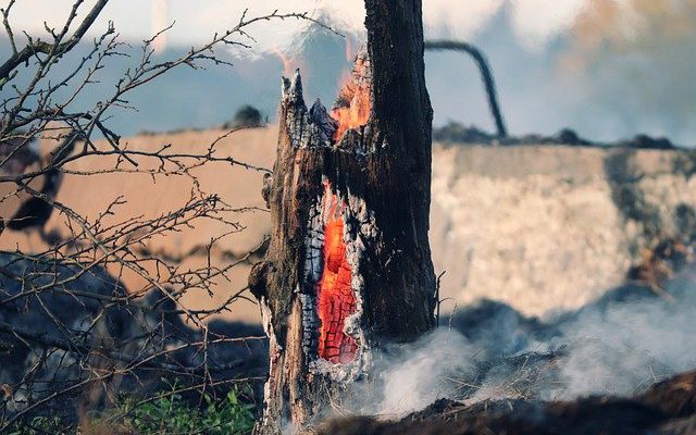 Kolejny pożar w Nowej Hucie – mieszkańcy obawiają się, że to nie były przypadki